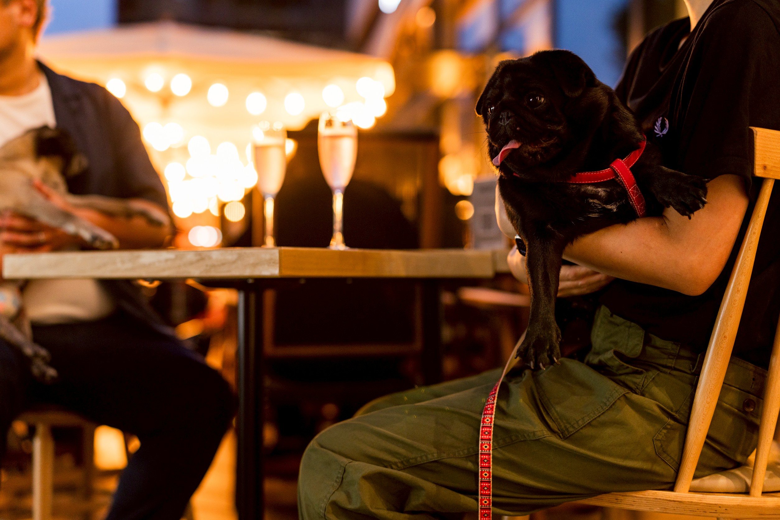 line_oa_chat_250930_110355